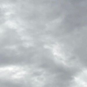 Meet your Posher, Alondra